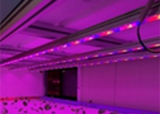 Conventional Lighting